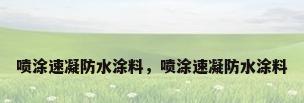 喷涂速凝防水涂料，喷涂速凝防水涂料