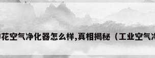 复旦申花空气净化器怎么样,真相揭秘（工业空气净化机）