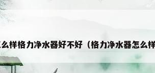 格力净水器怎么样格力净水器好不好（格力净水器怎么样 优缺点介绍）