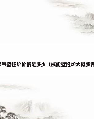燃气壁挂炉价格是多少（威能壁挂炉大概费用）