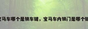宝马车哪个是锁车键，宝马车内锁门是哪个键？