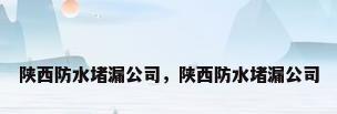 陕西防水堵漏公司，陕西防水堵漏公司