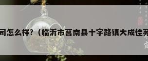 中大空调集团有限公司怎么样?（临沂市莒南县十字路镇大成佳苑附近哪里有安装空调）