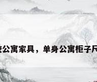 学校公寓家具，单身公寓柜子尺寸？