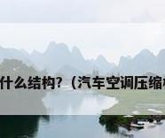 空调压缩机内部是什么结构?（汽车空调压缩机的结构是怎样的）