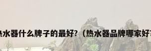 热水器什么牌子的最好?（热水器品牌哪家好?）