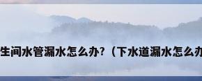 卫生间水管漏水怎么办?（下水道漏水怎么办?）