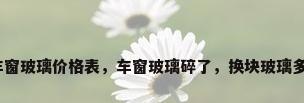 汽车车窗玻璃价格表，车窗玻璃碎了，换块玻璃多少钱？