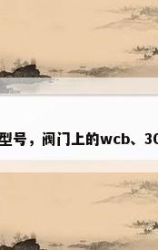 美标阀门型号，阀门上的wcb、304、316？