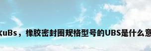 防水uBs，橡胶密封圈规格型号的UBS是什么意思？