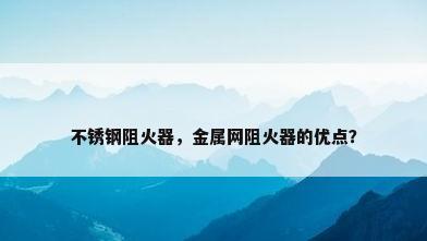 不锈钢阻火器，金属网阻火器的优点？