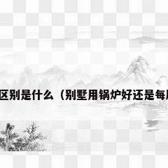 锅炉和热水器的区别是什么（别墅用锅炉好还是每层楼装热水器好）