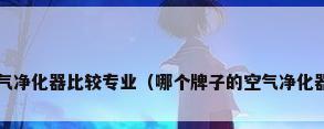 哪个牌子空气净化器比较专业（哪个牌子的空气净化器比较专业?）