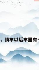 锁车后灯闪，锁车以后车里有个红灯闪烁？