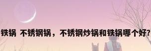 铁锅 不锈钢锅，不锈钢炒锅和铁锅哪个好？