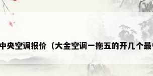 大金中央空调报价（大金空调一拖五的开几个最省电）
