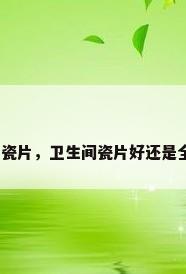 全瓷的瓷片，卫生间瓷片好还是全瓷好？