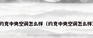 约克中央空调怎么样（约克中央空调怎么样）
