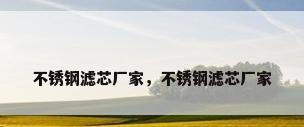 不锈钢滤芯厂家，不锈钢滤芯厂家