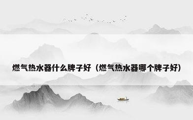 燃气热水器什么牌子好（燃气热水器哪个牌子好）
