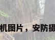 安防摄像机图片，安防摄像机图片