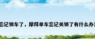 摩拜单车忘记锁车了，摩拜单车忘记关锁了有什么办法能补救？