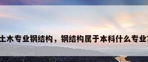 土木专业钢结构，钢结构属于本科什么专业？