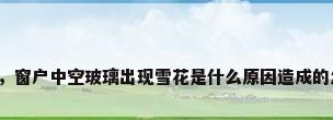 雪花玻璃，窗户中空玻璃出现雪花是什么原因造成的怎么解决？
