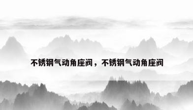 不锈钢气动角座阀，不锈钢气动角座阀