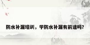 防水补漏培训，学防水补漏有前途吗？