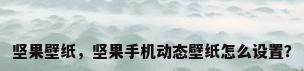 坚果壁纸，坚果手机动态壁纸怎么设置？