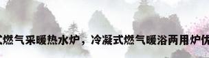 冷凝式燃气采暖热水炉，冷凝式燃气暖浴两用炉优缺点？