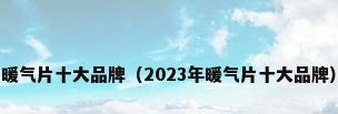暖气片十大品牌（2023年暖气片十大品牌）