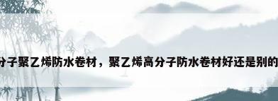 高分子聚乙烯防水卷材，聚乙烯高分子防水卷材好还是别的好？