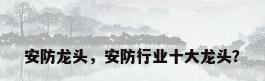 安防龙头，安防行业十大龙头？