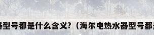 海尔电热水器型号都是什么含义?（海尔电热水器型号都是什么含义?）