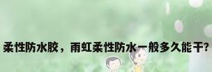 柔性防水胶，雨虹柔性防水一般多久能干？