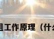 风冷螺杆式冷水机组工作原理（什么是风冷螺杆机组?）