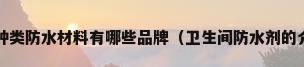 卫生间防水剂有哪些种类防水材料有哪些品牌（卫生间防水剂的介绍卫生间防水剂的购买方法）