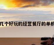 好玩的餐厅经营类游戏，推荐几个好玩的经营餐厅的单机游戏，除了“美味餐厅”系列？