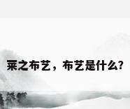 莱之布艺，布艺是什么？