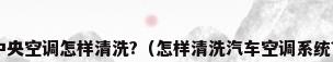 中央空调怎样清洗?（怎样清洗汽车空调系统?）