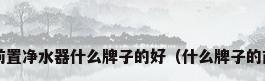 前置净水器怎么选前置净水器什么牌子的好（什么牌子的前置过滤器比较好?）