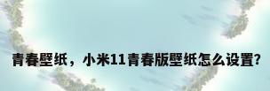 青春壁纸，小米11青春版壁纸怎么设置？