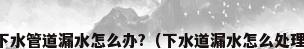 下水管道漏水怎么办?（下水道漏水怎么处理）