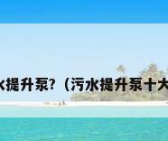 十 大品牌污水提升泵?（污水提升泵十大品牌求推荐?）