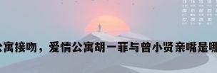 爱情公寓接吻，爱情公寓胡一菲与曾小贤亲嘴是哪一集？