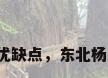 东北杨木板材的优缺点，东北杨木板材的优缺点？