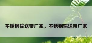 不锈钢输送带厂家，不锈钢输送带厂家