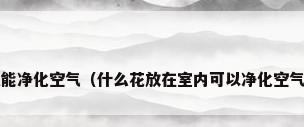 啥花能净化空气（什么花放在室内可以净化空气呢?）